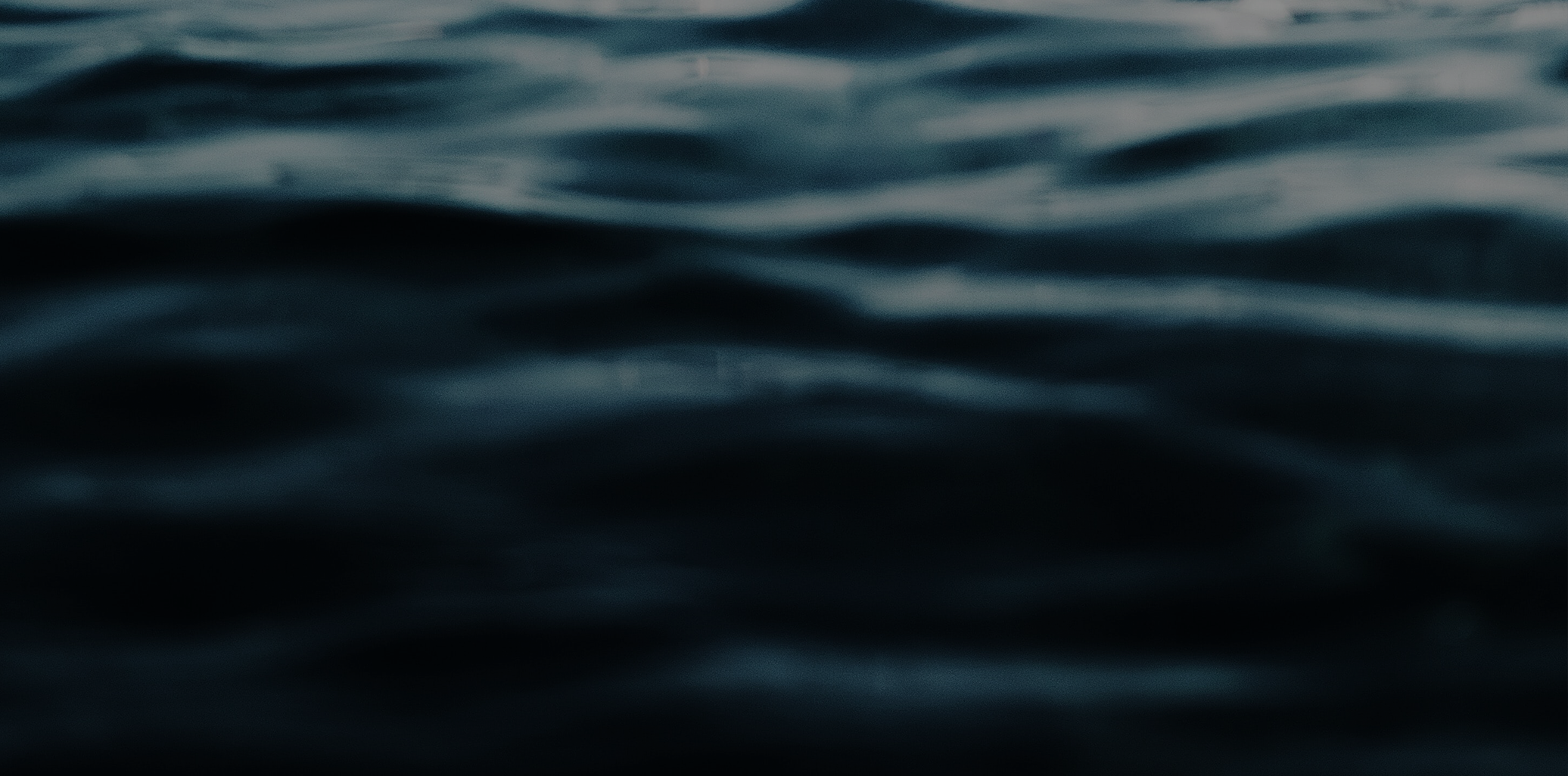 section_1.png
